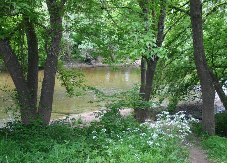 Entre Durèze et Soulège