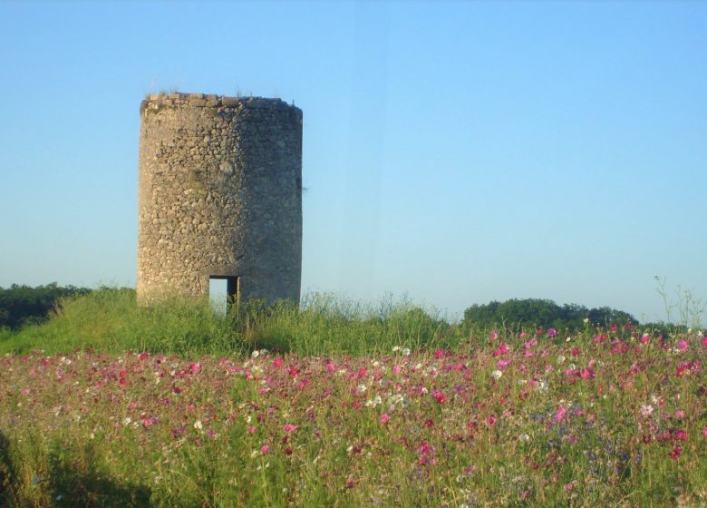 Boucle de l’arboretum et des moulins